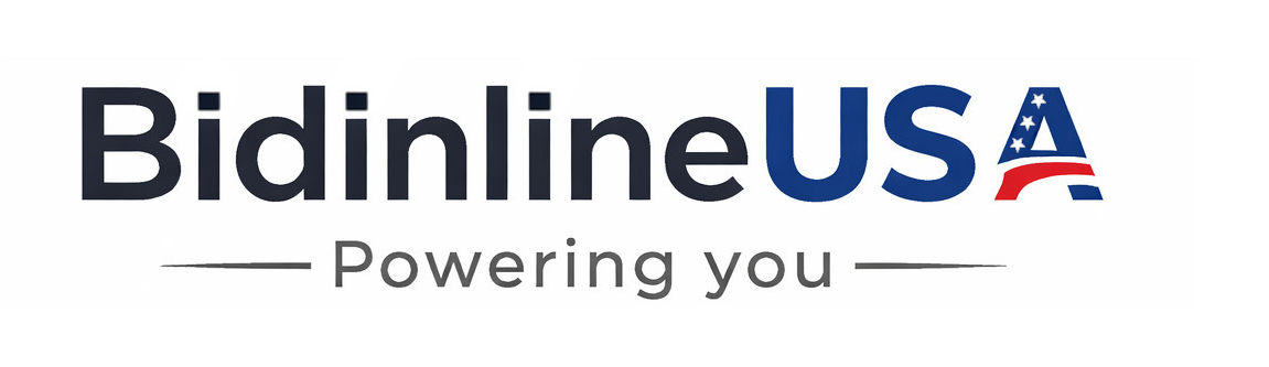 Bidinline USA Logo